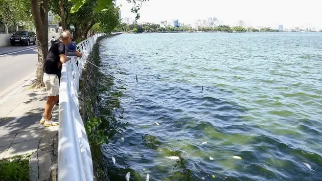 H&agrave; Nội đầu tư gần 100 tỷ đồng l&agrave;m sạch Hồ T&acirc;y