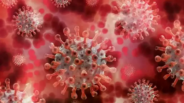 Xuất hiện virus lạ g&acirc;y triệu chứng ho ra m&aacute;u ở Nga
