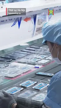 Ứng ph&oacute; với ch&iacute;nh s&aacute;ch thuế mới của Mỹ