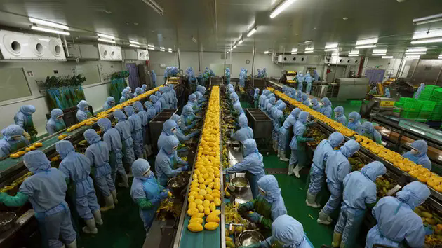 EuroCham vẫn tin tưởng v&agrave;o Việt Nam trước biến động