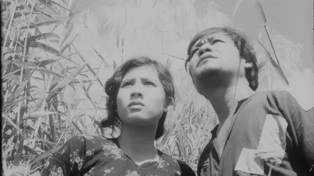 'C&aacute;nh đồng hoang': Vẻ đẹp bi tr&aacute;ng của điện ảnh C&aacute;ch mạng