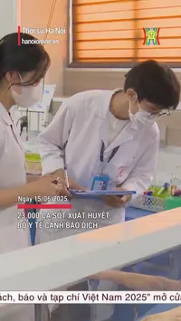 23.000 ca sốt xuất huyết, Bộ Y tế cảnh b&aacute;o dịch