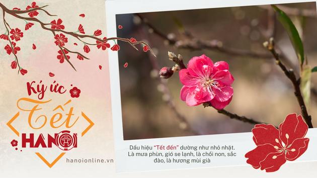 M&ugrave;a Tết trong t&ocirc;i