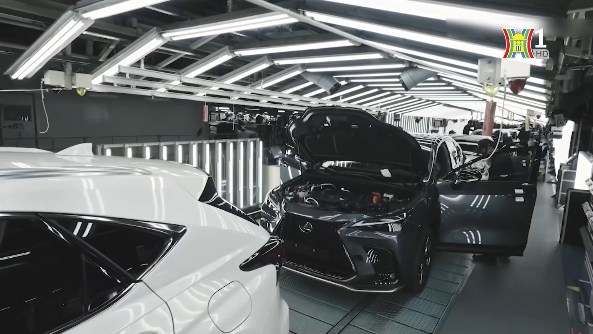 C&aacute;c xe Lexus gặp lỗi sẽ được kiểm tra, thay thế camera v&agrave; bơm nhi&ecirc;n liệu miễn ph&iacute;.