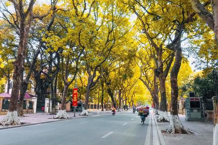 Thổn thức m&ugrave;a thu H&agrave; Nội