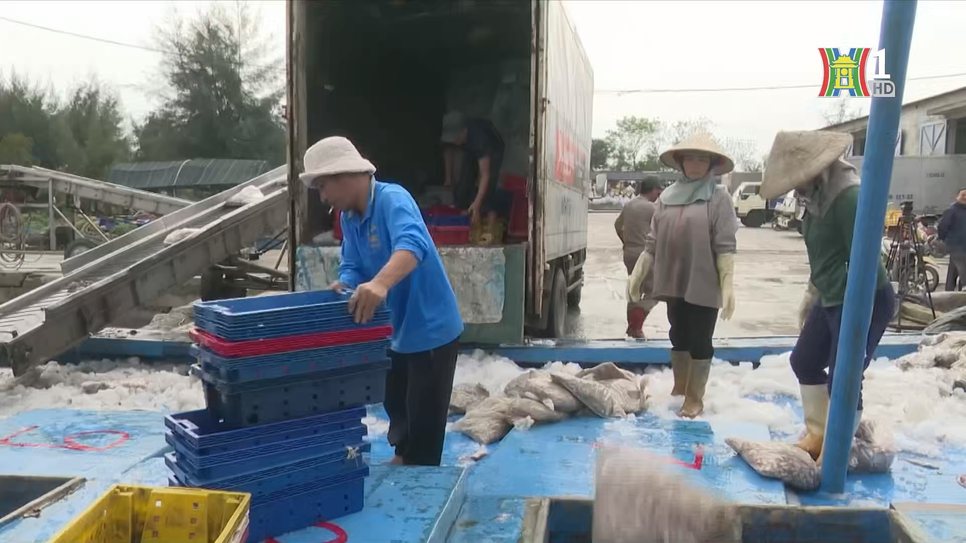 Tỉnh Nghệ An đ&atilde; y&ecirc;u cầu c&aacute;c t&agrave;u thuyền đang hoạt động tr&ecirc;n biển phải về bờ neo đậu để bảo đảm an to&agrave;n trước 16 giờ ng&agrave;y 6/9.