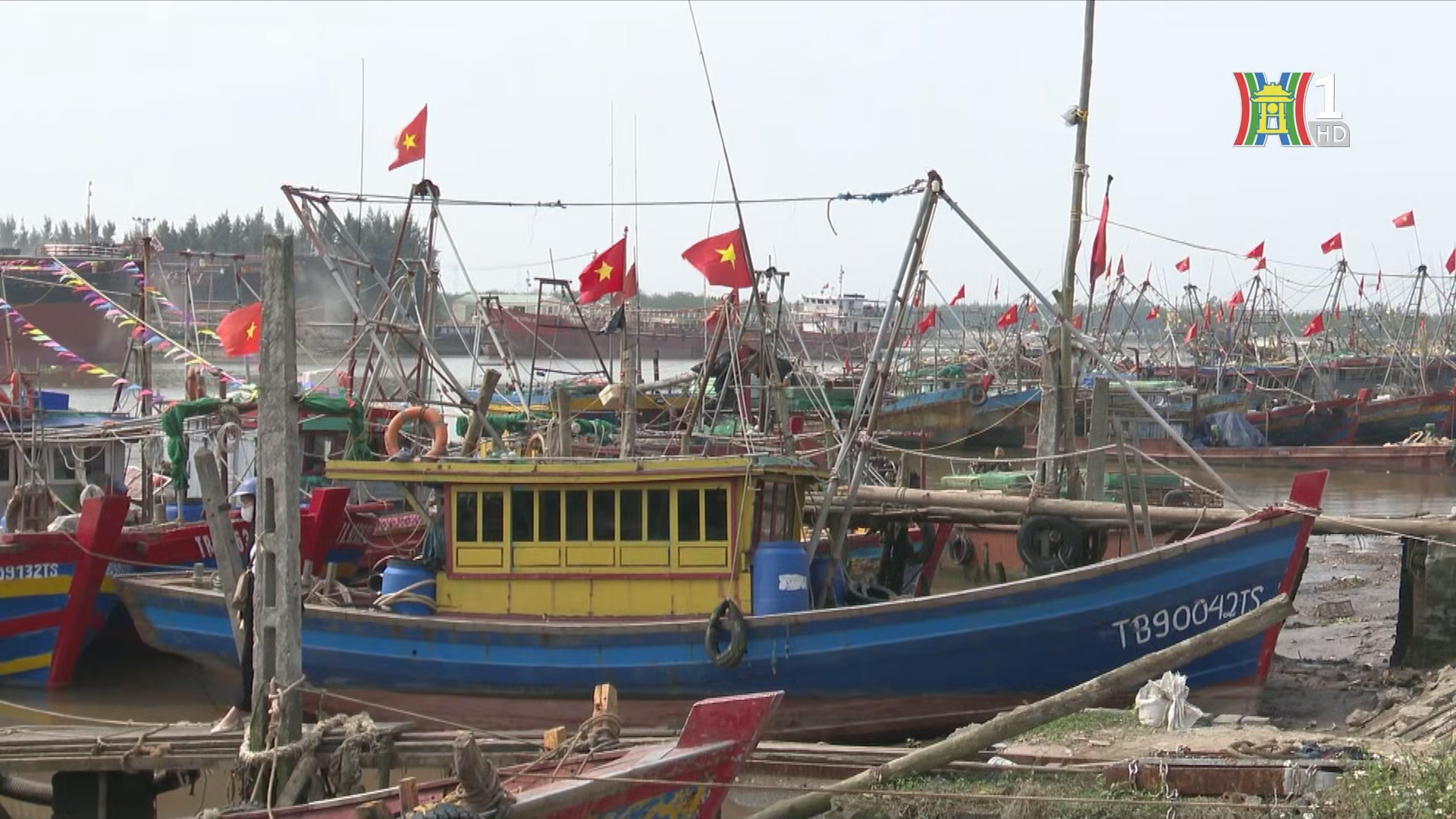 Tỉnh Ninh B&igrave;nh đ&atilde; chủ động c&aacute;c phương &aacute;n ứng ph&oacute; với phương ch&acirc;m 4 tại chỗ.