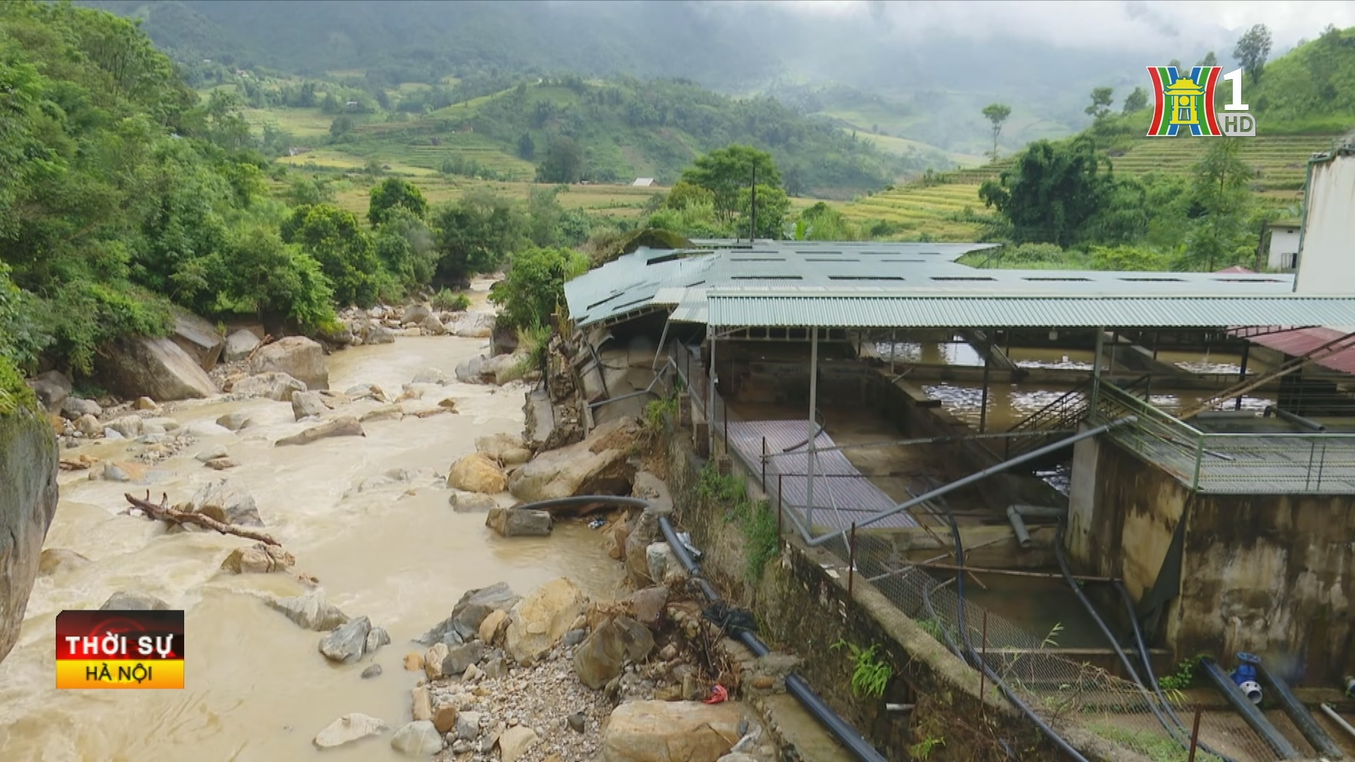 Khu nu&ocirc;i thủy sản của gia đ&igrave;nh &ocirc;ng Mai Văn Thiện bị mưa lũ t&agrave;n ph&aacute; v&agrave; 40 tấn c&aacute; tầm bị cuốn theo lũ.