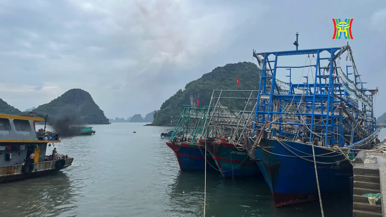 Theo ghi nhận của ph&oacute;ng vi&ecirc;n Đ&agrave;i H&agrave; Nội, thời điểm n&agrave;y, tất cả c&aacute;c t&agrave;u thuyền tr&ecirc;n địa b&agrave;n đ&atilde; về bờ tập kết để tr&aacute;nh b&atilde;o theo kế hoạch.