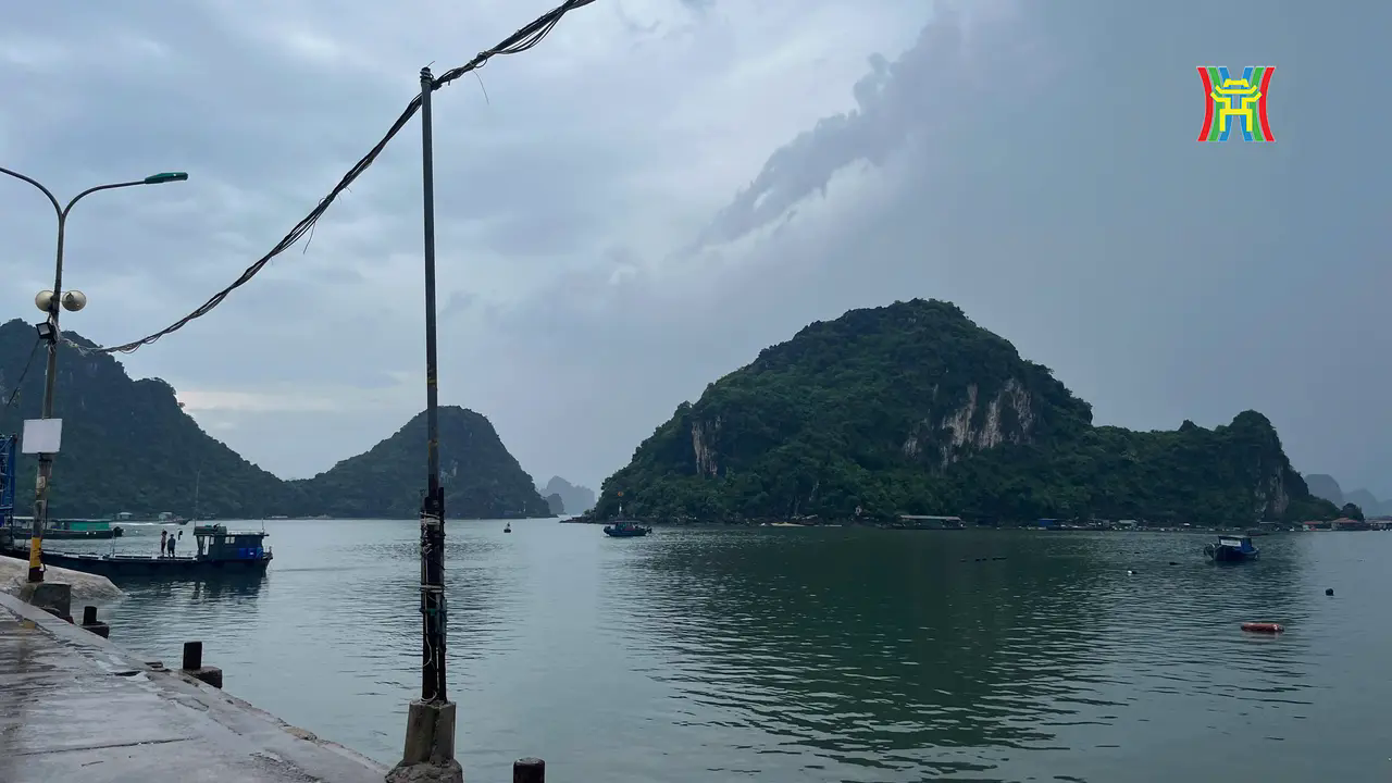 Tại tỉnh Quảng Ninh, lệnh cấm biển c&oacute; hiệu lực từ 11h00 ng&agrave;y 6/9.