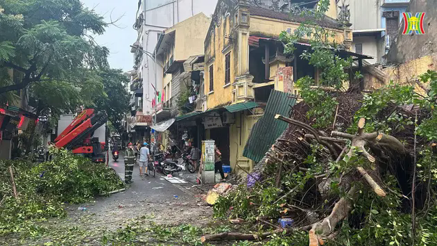 H&agrave; Nội mưa lớn, c&acirc;y g&atilde;y đổ khiến 1 người tử vong
