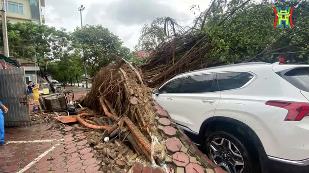 H&agrave;ng ng&agrave;n c&acirc;y xanh, nhiều cột điện ở H&agrave; Nội bị đổ
