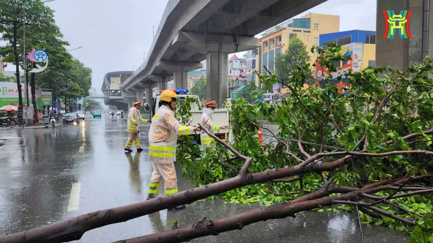 H&agrave; Nội chủ động ph&ograve;ng ngừa, ứng ph&oacute; si&ecirc;u b&atilde;o số 3