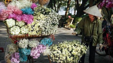 Những chiếc xe hoa chở m&ugrave;a qua phố