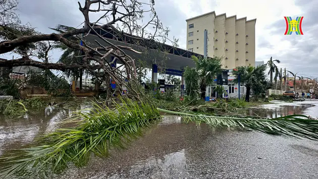 Hải Ph&ograve;ng chịu nhiều thiệt hại nặng nề sau b&atilde;o số 3