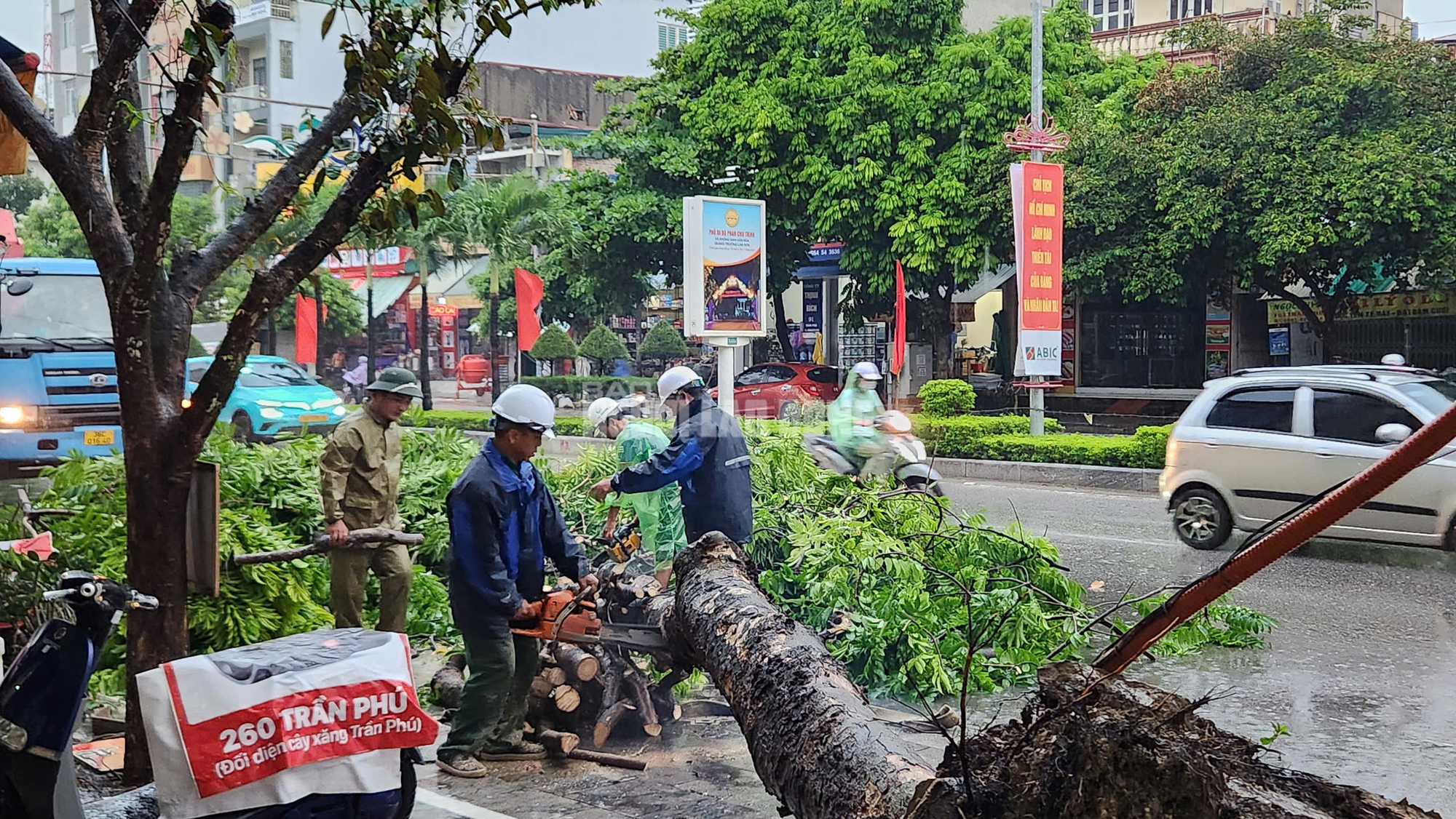 B&atilde;o số 3 l&agrave;m h&agrave;ng ng&agrave;n c&acirc;y xanh g&atilde;y đổ.
