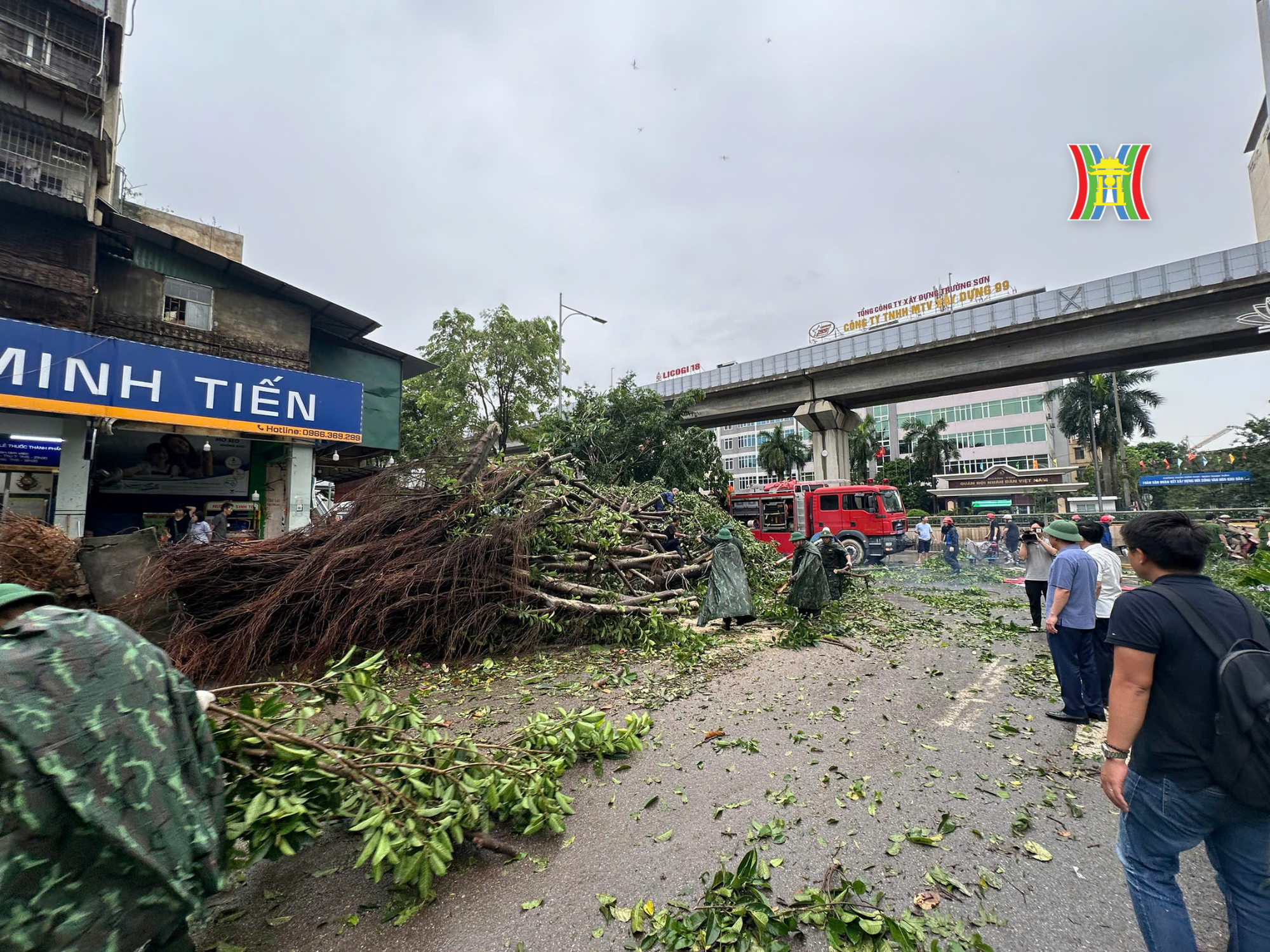 Nhiều c&acirc;y xanh đ&ocirc; thị bị g&atilde;y đổ.