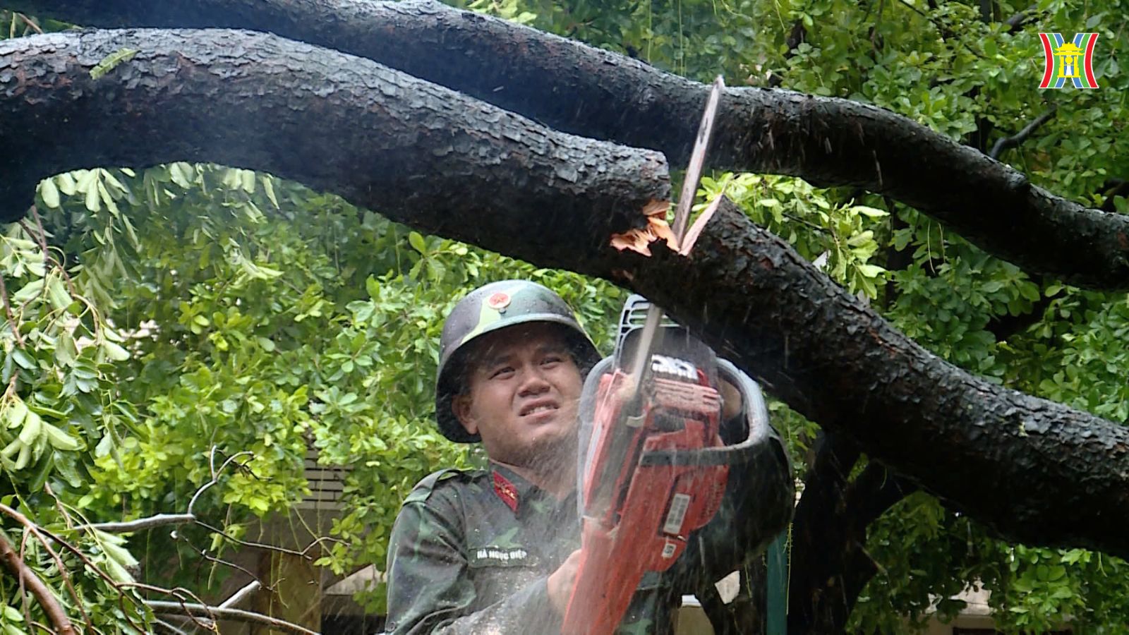 Lực lượng qu&acirc;n đội v&agrave; d&acirc;n qu&acirc;n hỗ trợ cắt tỉa c&acirc;y xanh bị ng&atilde; đổ tại phường H&agrave; Cầu, quận H&agrave; Đ&ocirc;ng.