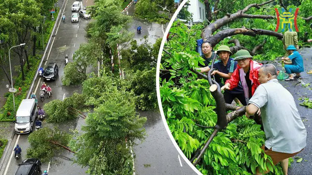 Xử l&yacute; c&acirc;y xanh g&atilde;y đổ tại H&agrave; Nội sau b&atilde;o Yagi