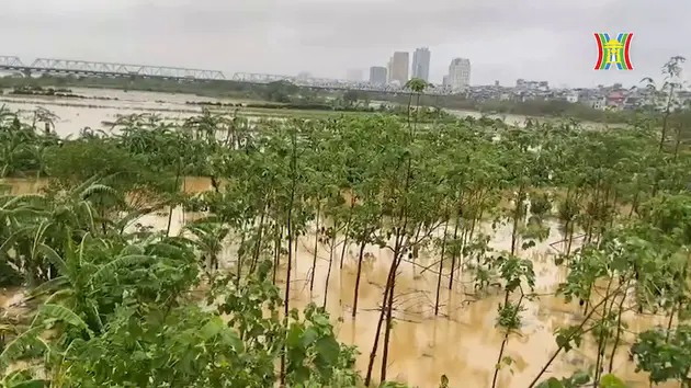 Lệnh b&aacute;o động lũ tr&ecirc;n s&ocirc;ng Hồng