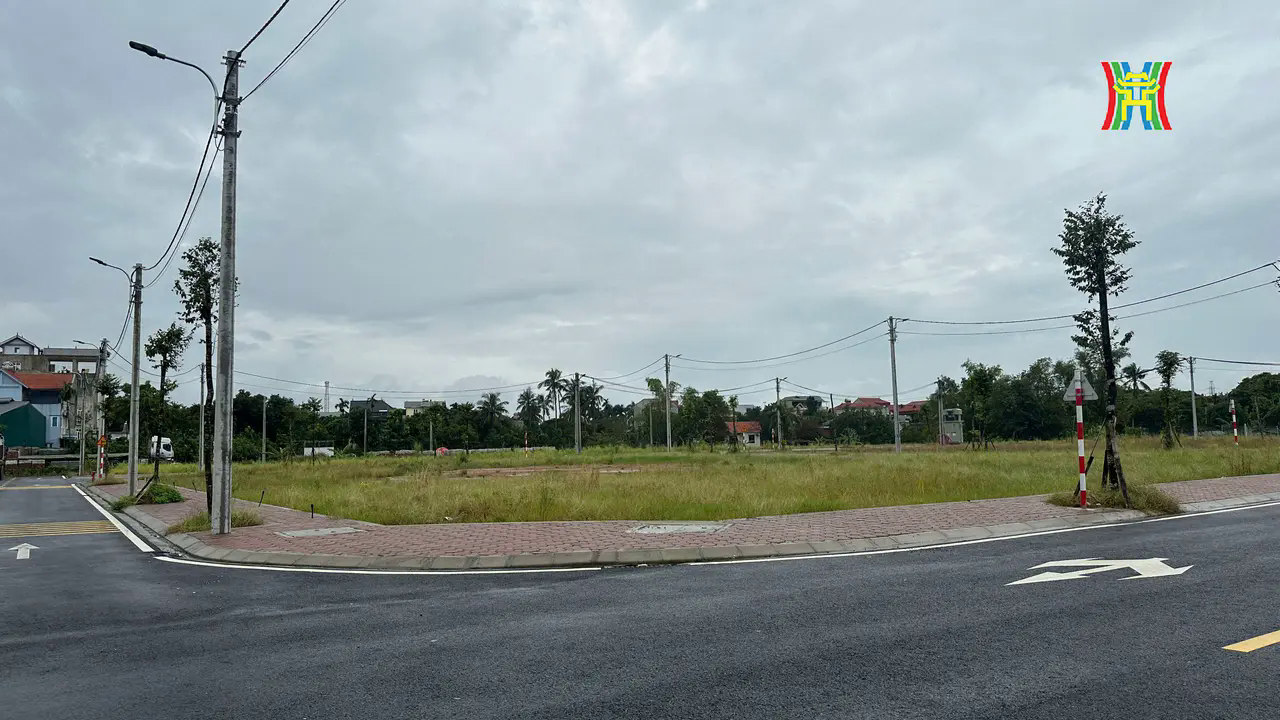 Tại cuộc đấu gi&aacute; 47 thửa đất ở huyện Ph&uacute;c Thọ chiều 10/9, c&oacute; thửa đất được trả l&ecirc;n tới 69,8 triệu đồng/1m2