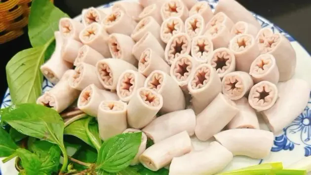 L&ograve;ng xe điếu h&igrave;nh th&agrave;nh ở lợn mắc bệnh đường ruột