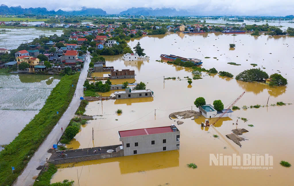 Mực nước tr&ecirc;n s&ocirc;ng Ho&agrave;ng Long d&acirc;ng cao. Ảnh: B&aacute;o Ninh B&igrave;nh.
