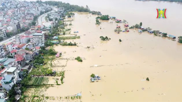 V&ugrave;ng đất trồng đ&agrave;o, quất Ph&uacute; Thượng ch&igrave;m trong nước lũ
