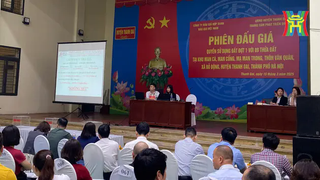 Huyện Thanh Oai đấu gi&aacute; 89 thửa đất tại x&atilde; Đỗ Động