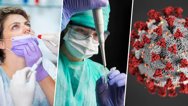 T&ograve;a &aacute;n Đức cho ph&eacute;p giữ k&iacute;n th&ocirc;ng tin nguồn gốc COVID-19