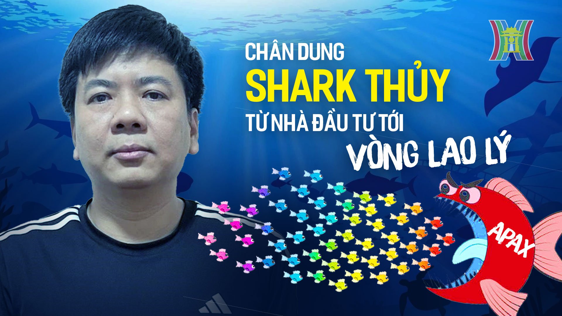 Ch&acirc;n dung Shark Thuỷ, từ nh&agrave; đầu tư tới v&ograve;ng lao l&yacute;