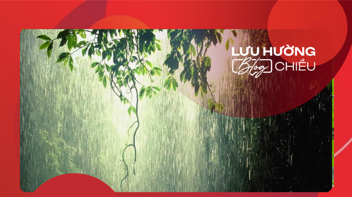 Mưa tháng Sáu – Bản tình ca của ký ức