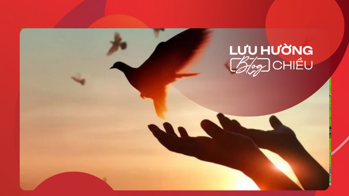 Buông bỏ lý lẽ, giữ lại bình yên