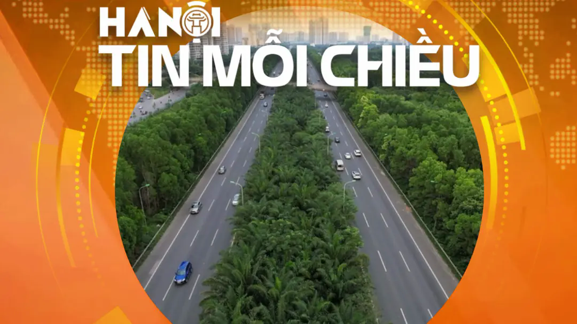 Có nên bỏ cây xanh trên dải phân cách cao tốc? | Hà Nội tin mỗi chiều