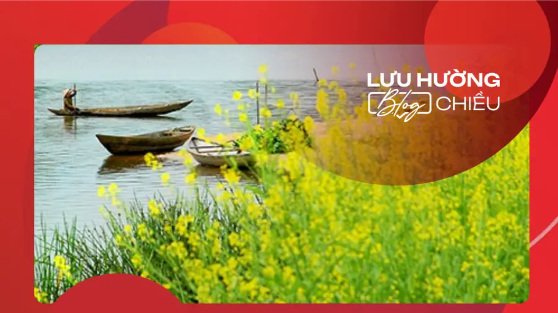 Mùa hoa cải bên sông
