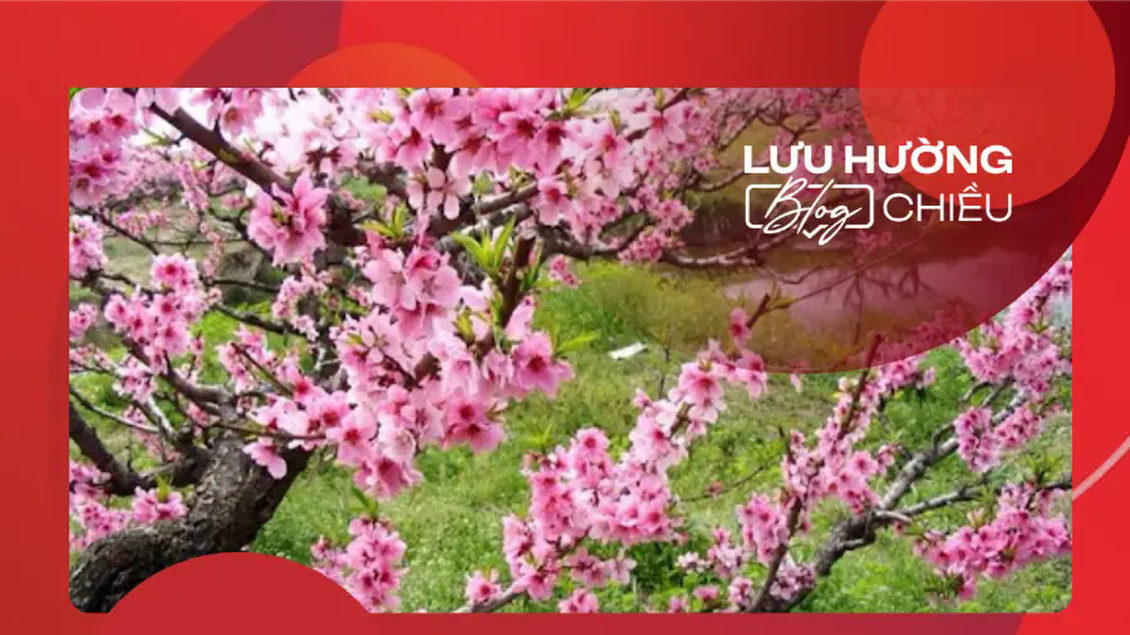 Khi mùa xuân đến