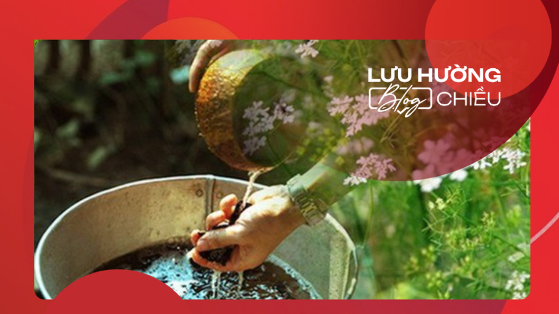 Hương mùi già đón Tết sang
