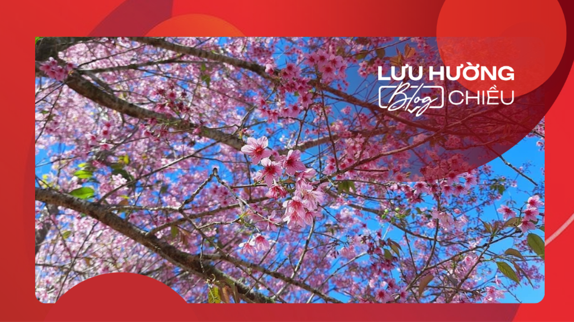 Mùa gọi xuân về…