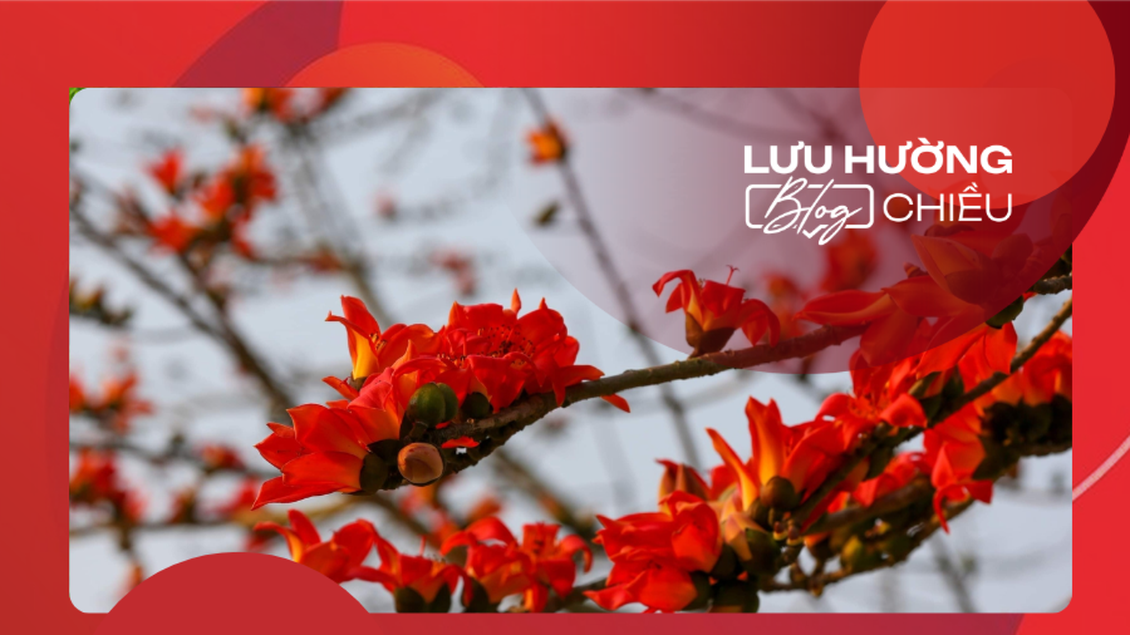 Tháng Ba – mùa hoa gạo trong ký ức