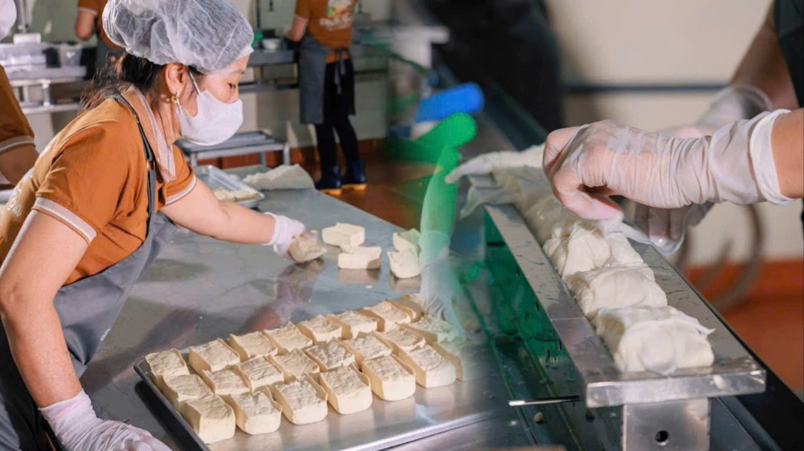 Bìa đậu Bá Dương Nội - hương quê giữa lòng phố thị