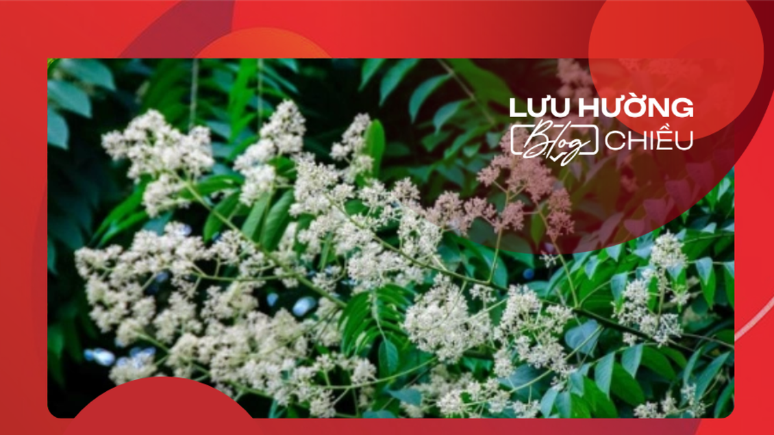 Loài hoa của sự lãng quên