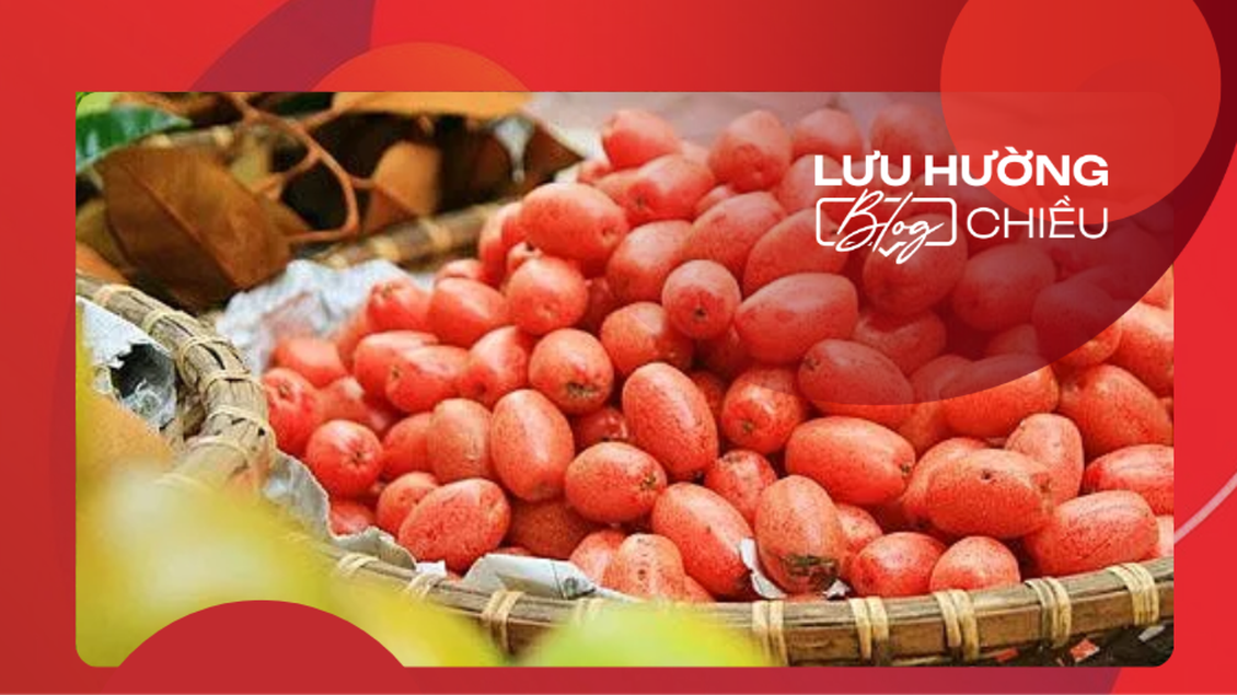 Nhớ mùa nhót chín