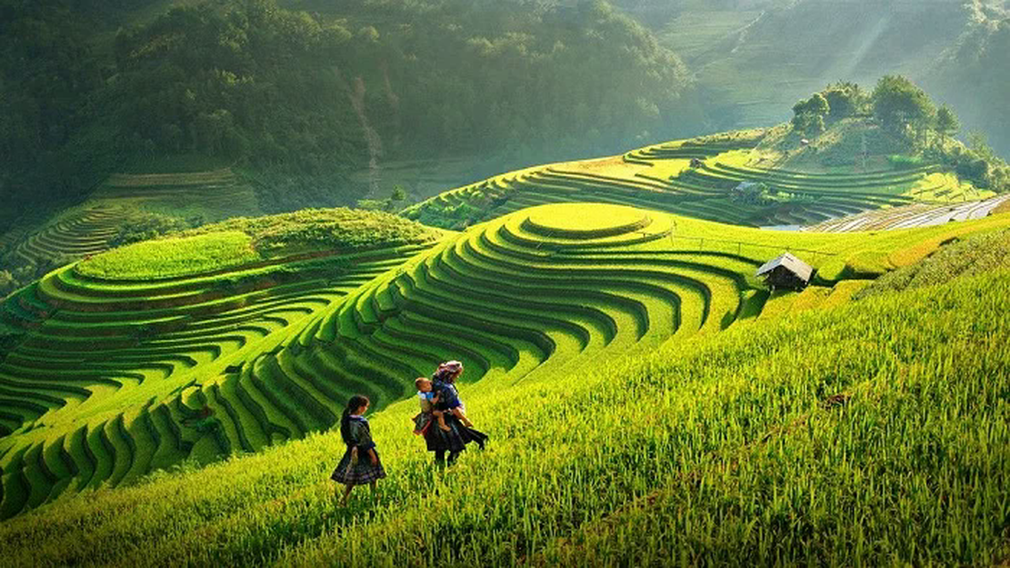 Du lịch xanh - Con đường phát triển bền vững