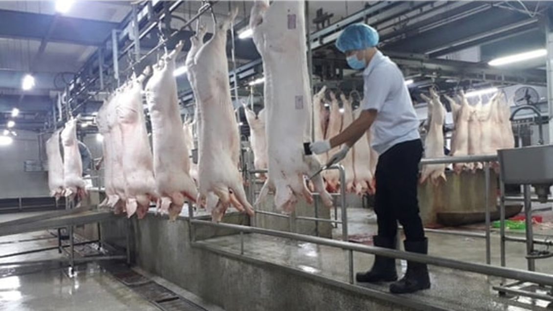 Đẩy nhanh quy hoạch các điểm giết mổ tập trung đáp ứng ATTP