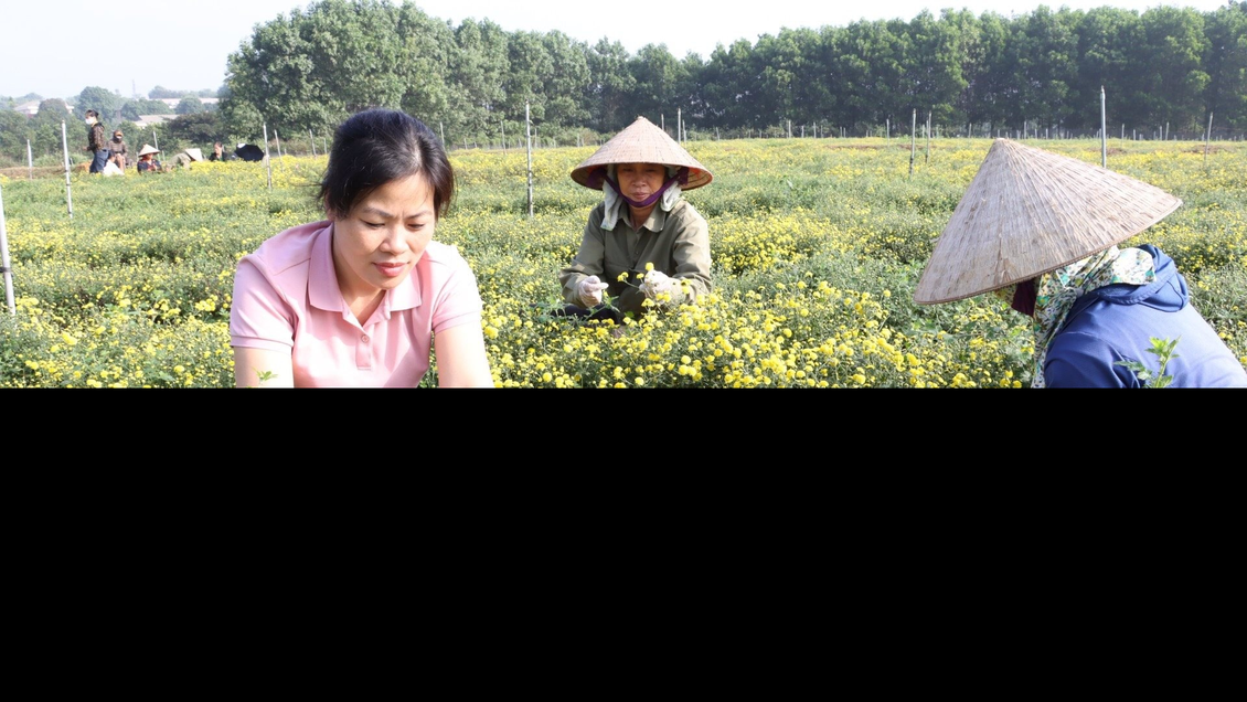 Xây dựng các mô hình du lịch nông nghiệp dịp nghỉ lễ