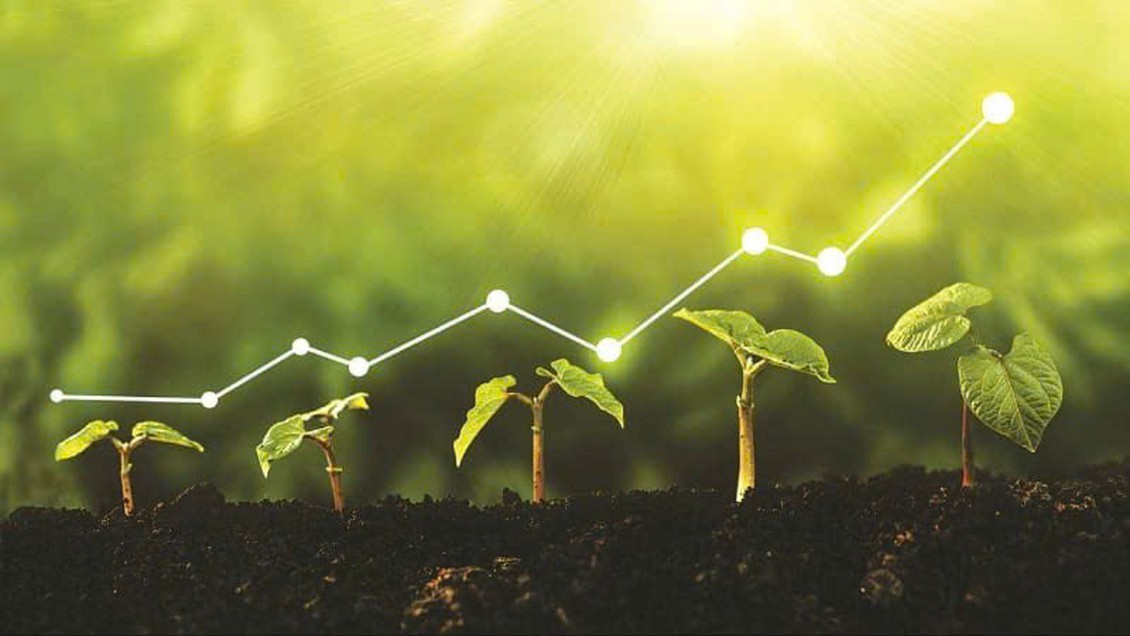 Carbon lên sàn: Khi phát thải trở thành tài sản