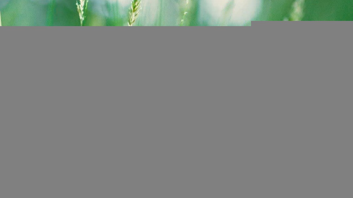 Tiểu thuyết "Thanh xuân như cỏ" (phần 5) - Lê Hoài Nam