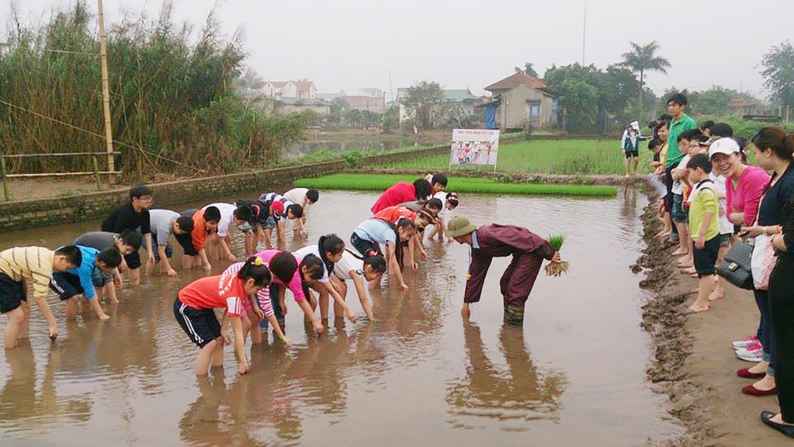 Nhân rộng các mô hình du lịch nông nghiệp