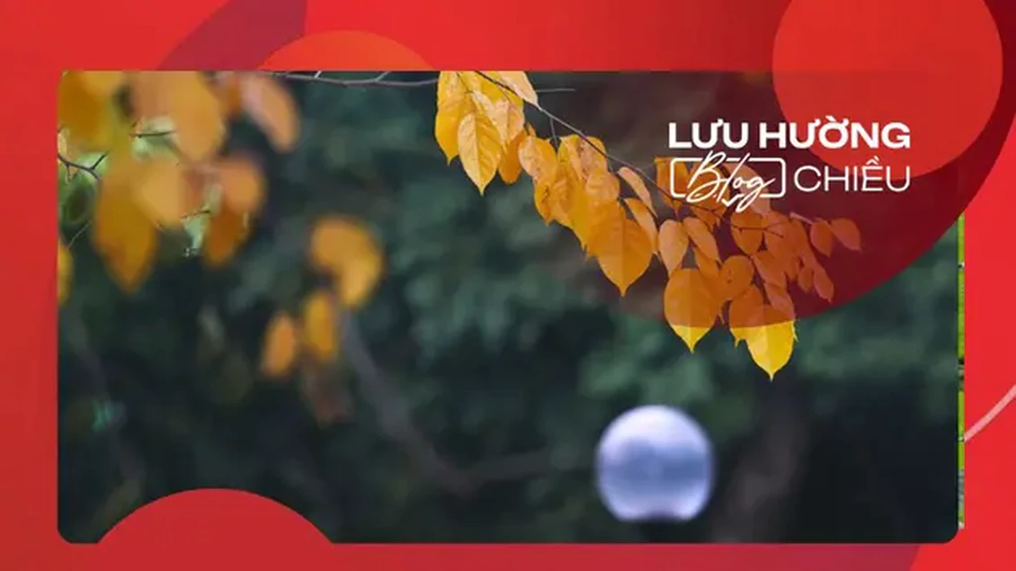 Quà của mùa thu