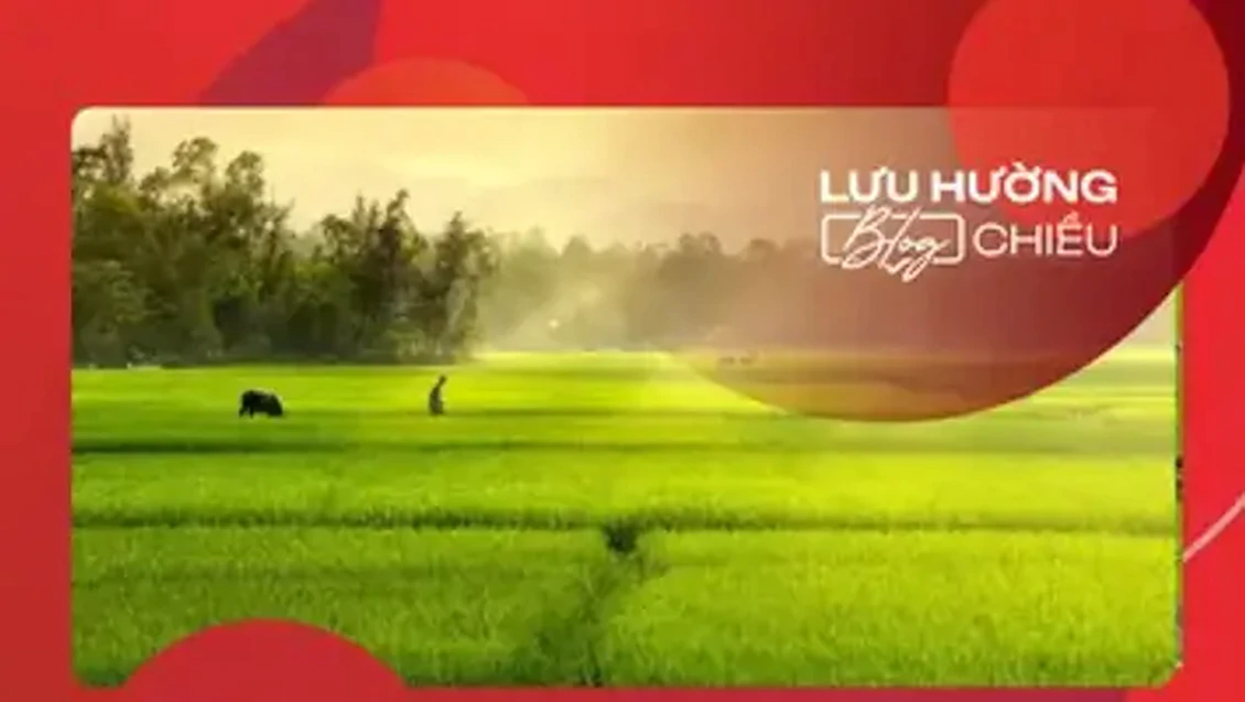 Thoang thoảng hương quê